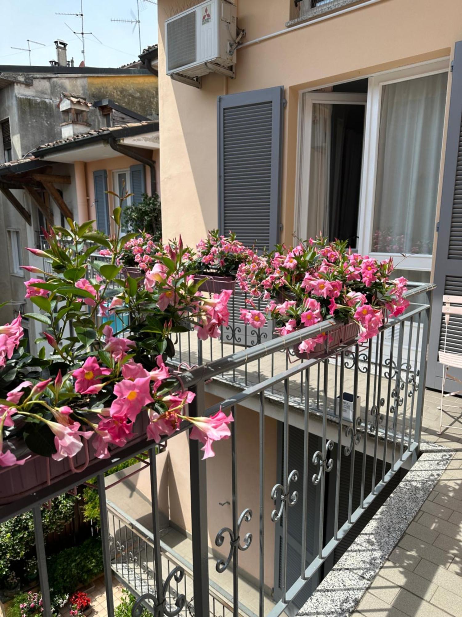 D-Place Apartment Piazza Duomo Crema Ngoại thất bức ảnh